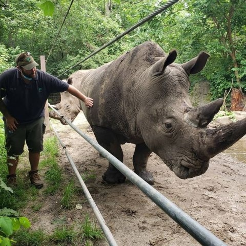 Meet your Posher, Jeffrey